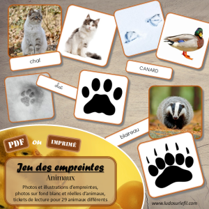 Jeu des empreintes d&rsquo;animaux