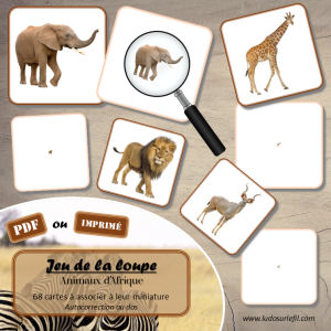 Jeu de la loupe – Animaux d’Afrique