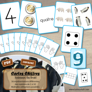 Cartes Chiffres – Animaux du froid