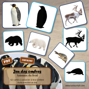 Jeu des Ombres – Animaux du froid