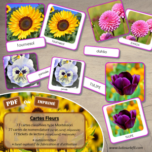 Cartes Fleurs – Photos réelles