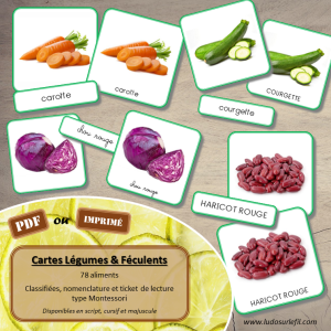 Cartes Légumes & Féculents – Photos fond blanc