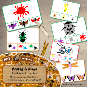 Cartes à pince – Couleurs & Insectes