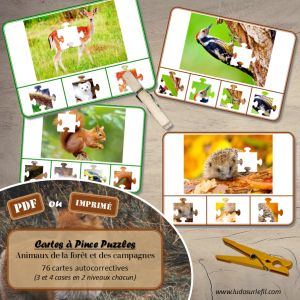 Cartes à pince – Puzzles – Animaux de la forêt