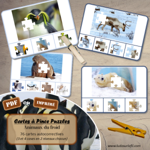 Cartes à pince – Puzzles – Animaux du froid
