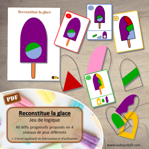 Reconstitue la Glace – Jeu de logique