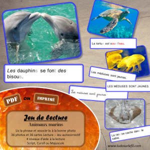 Jeu de lecture – Animaux marins