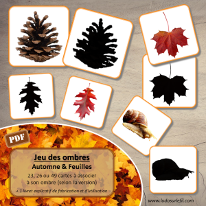 Jeu des Ombres – Automne & Feuilles