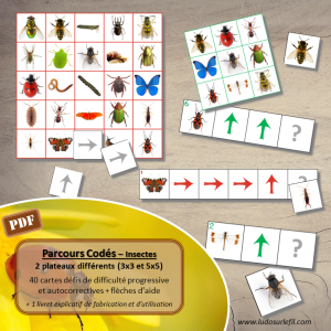 Suis les parcours codés – Insectes