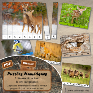 Puzzles Numériques – Animaux de la forêt et des campagnes