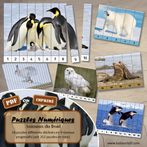 Puzzles Numériques – Animaux du froid