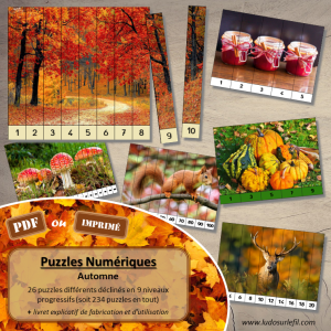 Puzzles Numériques – Automne