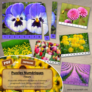 Puzzles Numériques – Fleurs
