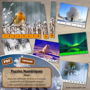 Puzzles Numériques – Hiver