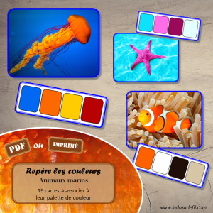 Repère les couleurs – Animaux marins