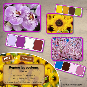 Repère les couleurs – Fleurs
