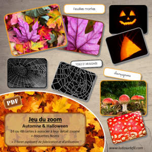 Jeu du Zoom – Automne & Halloween