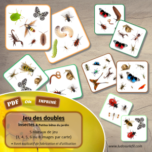 Jeu des doubles – Insectes et autres petites bêtes