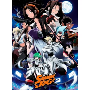 Shaman King - Poster - Shaman Fight